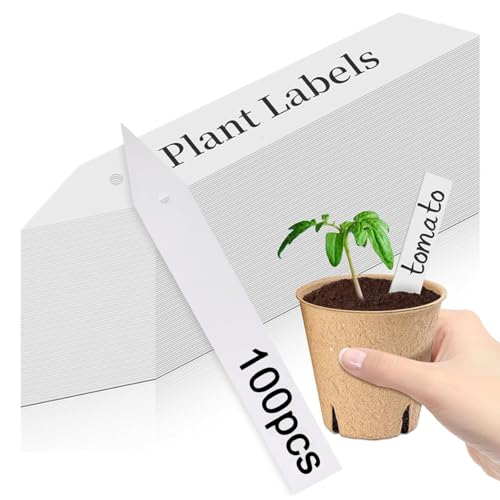 https://m.media-amazon.com/images/I/418v8QR0ZUL._SS64_.jpg