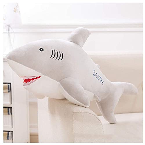 https://m.media-amazon.com/images/I/41+HOeehSiS._SS64_.jpg