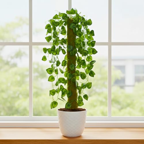 https://m.media-amazon.com/images/I/41aH5Tw6jzL._SS64_.jpg