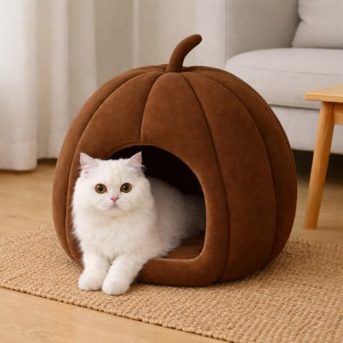 https://m.media-amazon.com/images/I/41gvoaPU2ZL._SS64_.jpg
