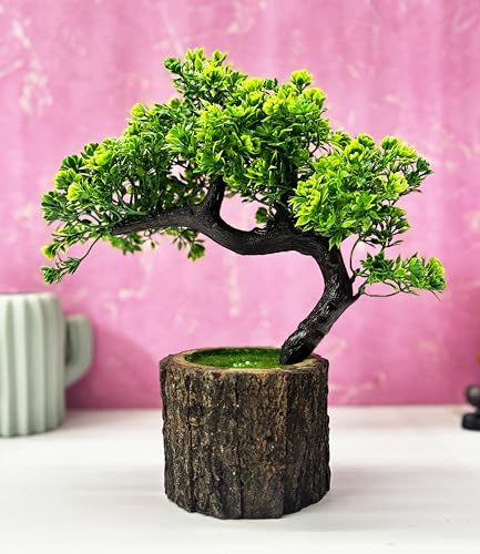 https://m.media-amazon.com/images/I/51q7ZjBjeVL._SS64_.jpg